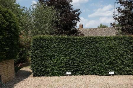 Two Rose Walk Cottage Cotswolds Moreton-in-Marsh Zewnętrze zdjęcie