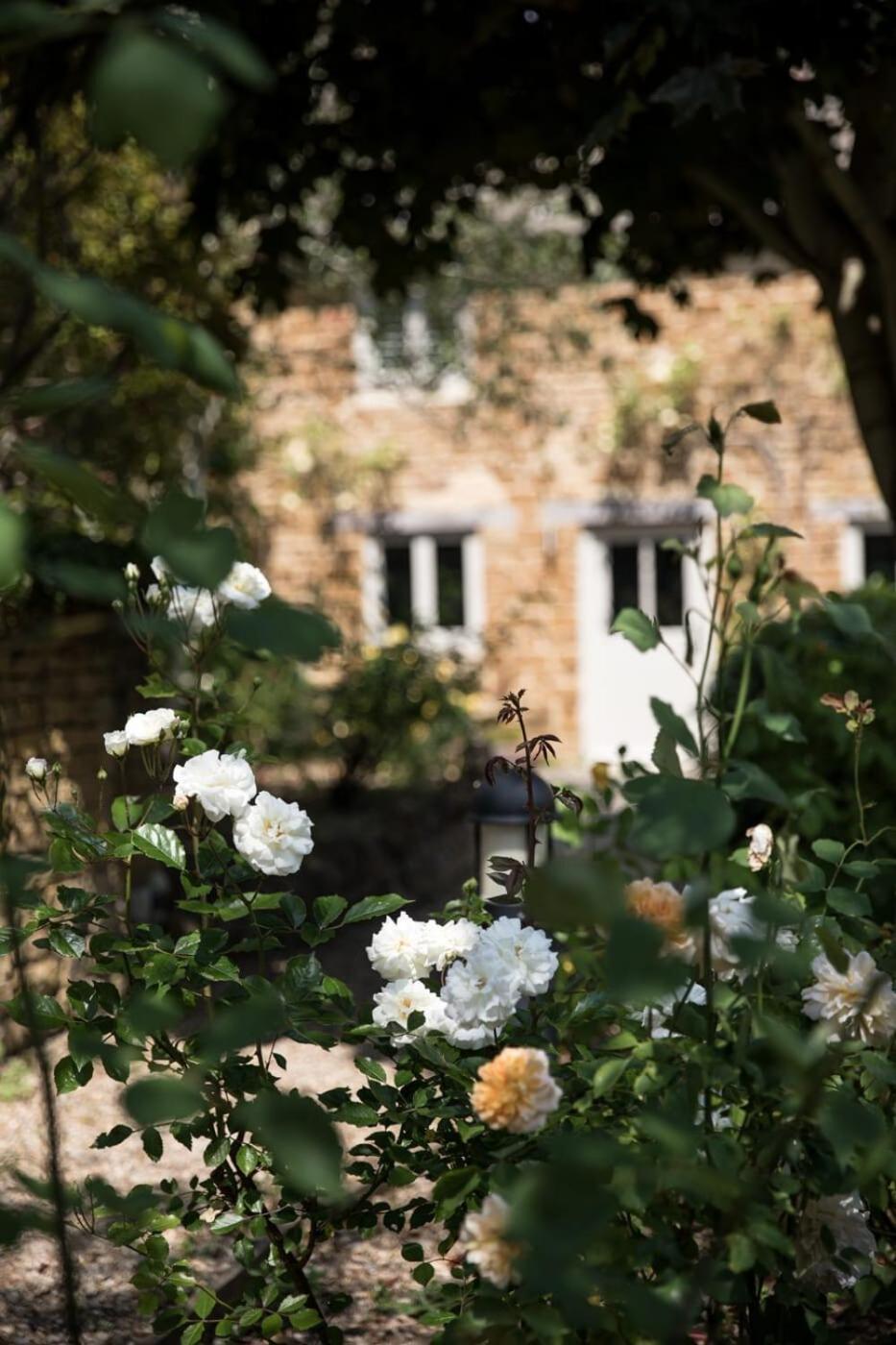 Two Rose Walk Cottage Cotswolds Moreton-in-Marsh Zewnętrze zdjęcie